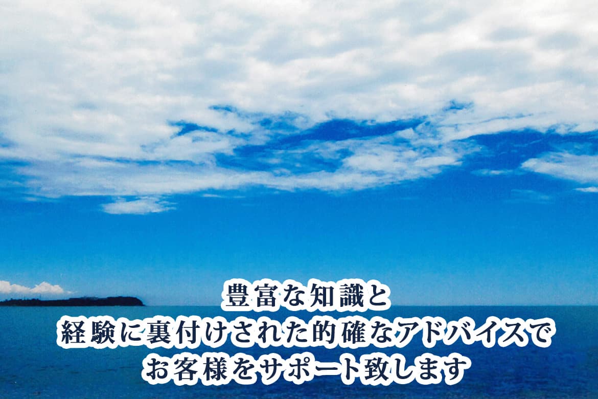 豊富な知識と的確なアドバイスでお客様をサポート